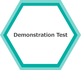 Demonstration Test