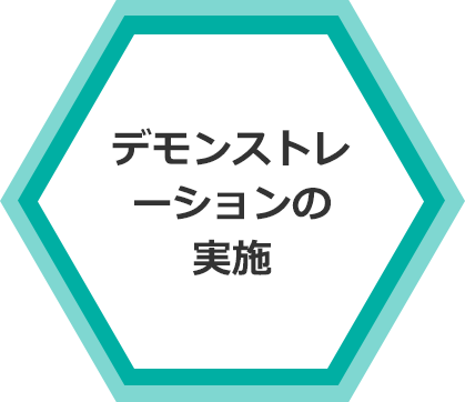 デモンストレーションの 実施